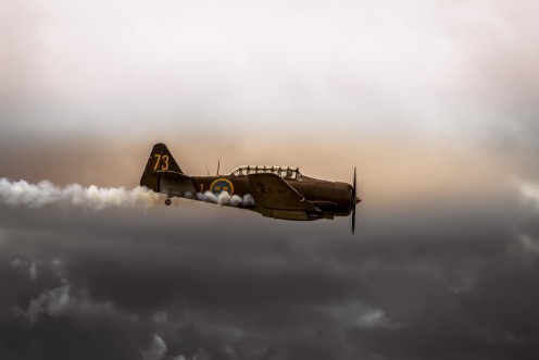 Image de Airshow Roskilde