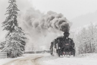 Attēls Winter Story