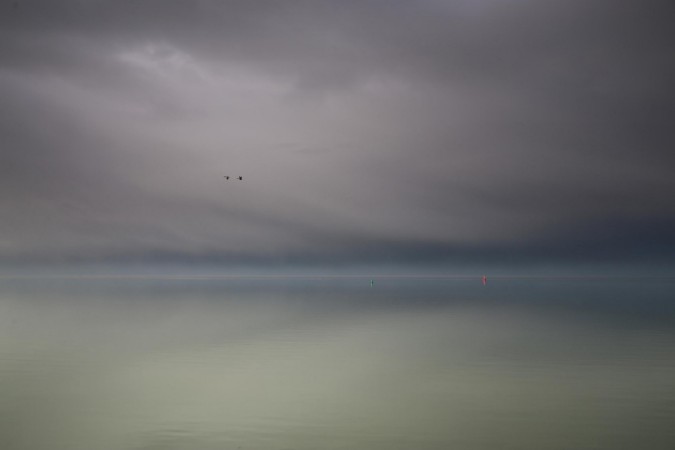 Bild von Geese Flight