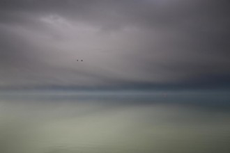 Image de Geese Flight