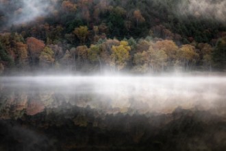 Bild von The mystical pond in the Autumn