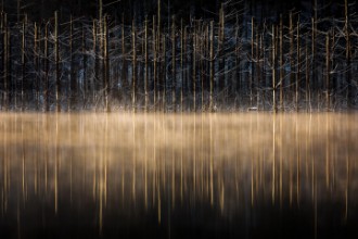 Cuejdel lake paveikslėlis