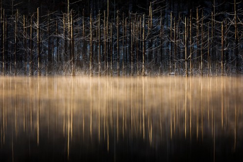 Picture of Cuejdel lake