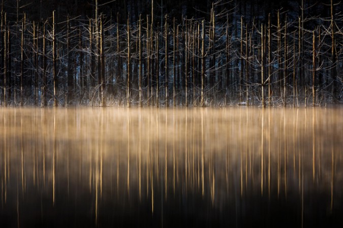 Picture of Cuejdel lake