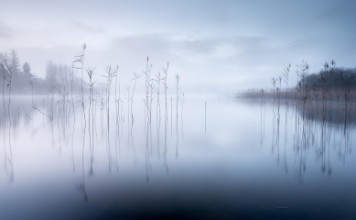 Picture of Stillness