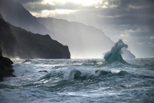 Picture of Wild Water