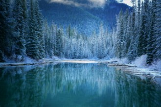 Obrazek Winter Wonder Land