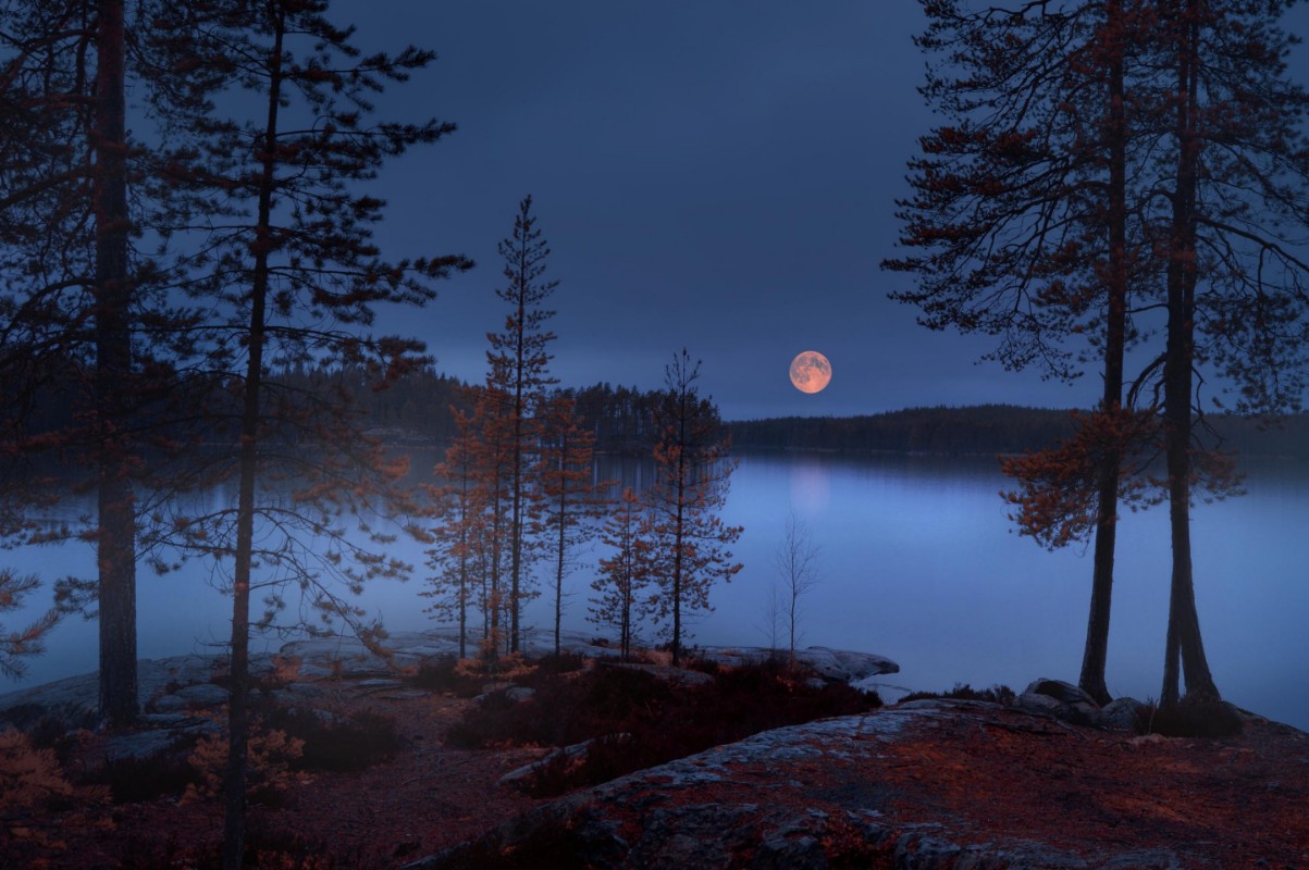 Image de Red Moon
