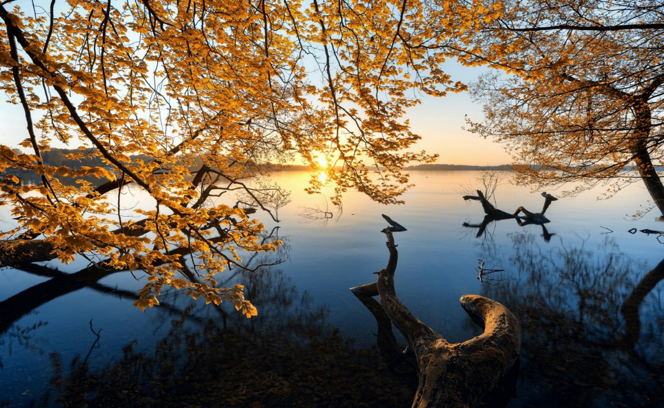 Bild på Autumn Morning