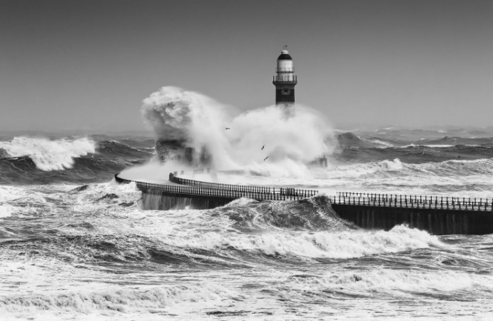 Image de Havets kraft