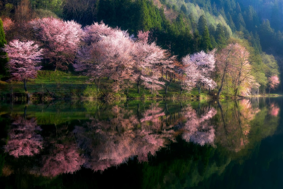 Picture of Another World