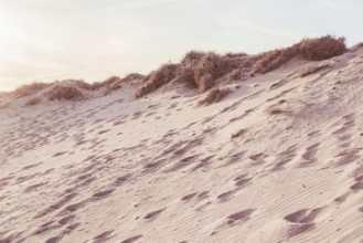 Imagen de Beach_009