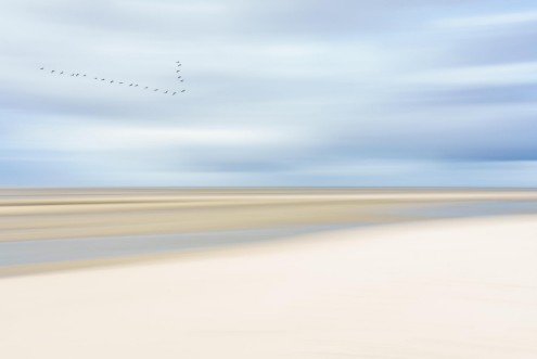 Picture of At the Ocean III