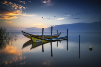 Picture of The boats