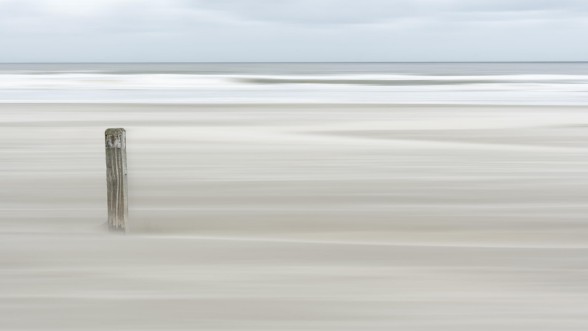 Picture of Steadvast