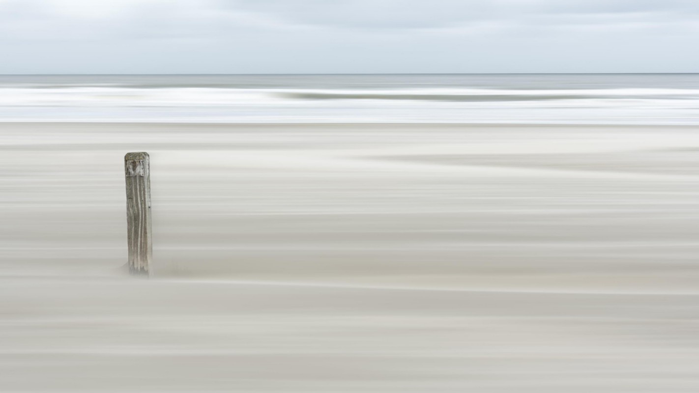 Picture of Steadvast