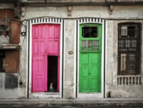 Havana Street paveikslėlis