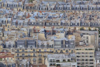 Obrazek Roofs in Paris