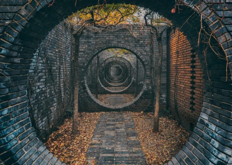 Picture of Reincarnation