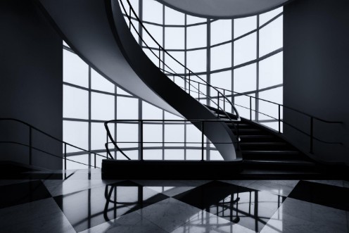 Picture of The graceful ascent