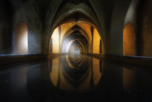 Picture of Light and water