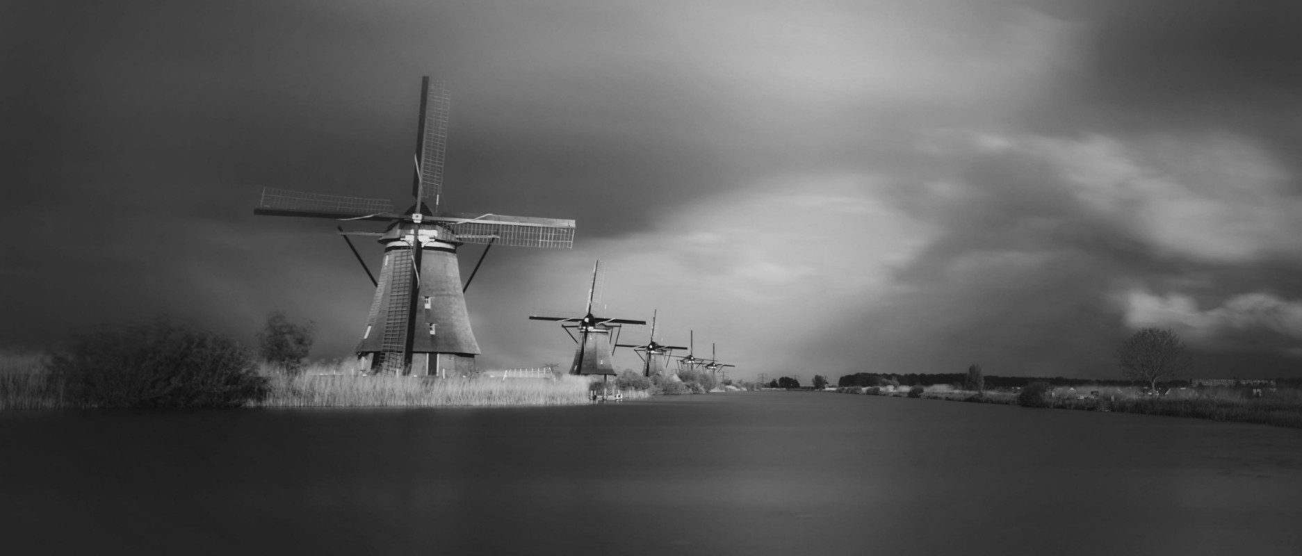 Picture of So Dutch