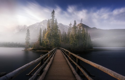 Bild på Bro till dimma