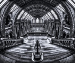Harry Potter meets Escher and Darwin. paveikslėlis