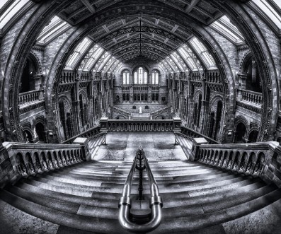 Afbeeldingen van Harry Potter meets Escher and Darwin.