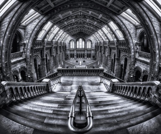 Afbeeldingen van Harry Potter meets Escher and Darwin.