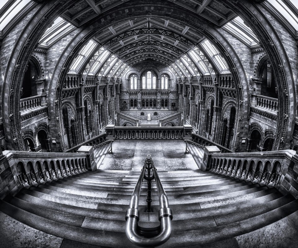 Picture of Harry Potter meets Escher and Darwin.