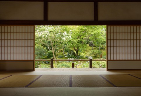 Picture of Zen Zone