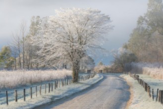 Obrázok z A Frosty Morning