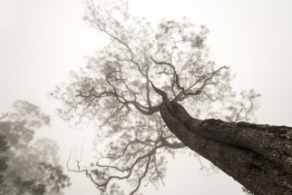 Bild von Between Heaven and Earth