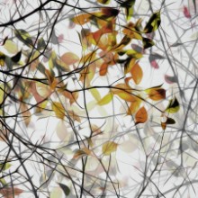Bild von Autumn song
