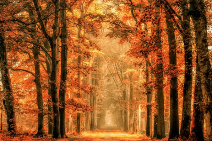 Image de Exit the Portal