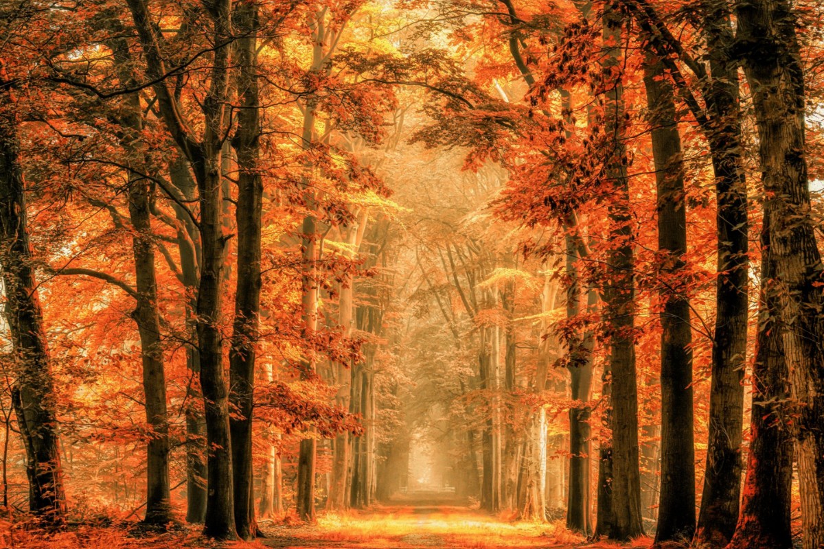 Picture of Exit the Portal