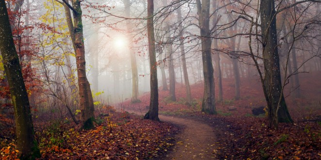 Picture of Autumn Sun.