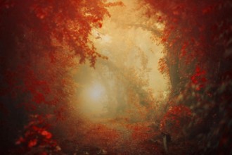 Immagine di Personal Journey