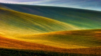 Image de Spring Fields