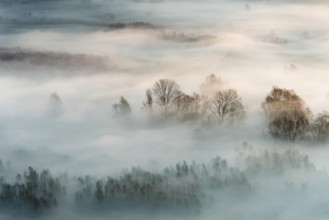 Obrázok z Winter fog