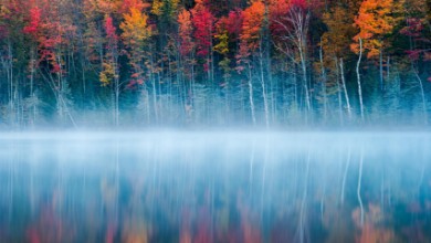 Kép Morning Reflection