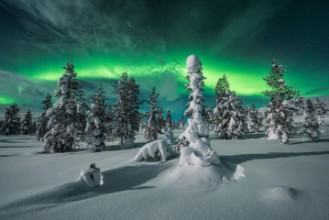 Bild von Polar night