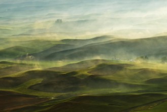 Immagine di Golden Morning-Palouse