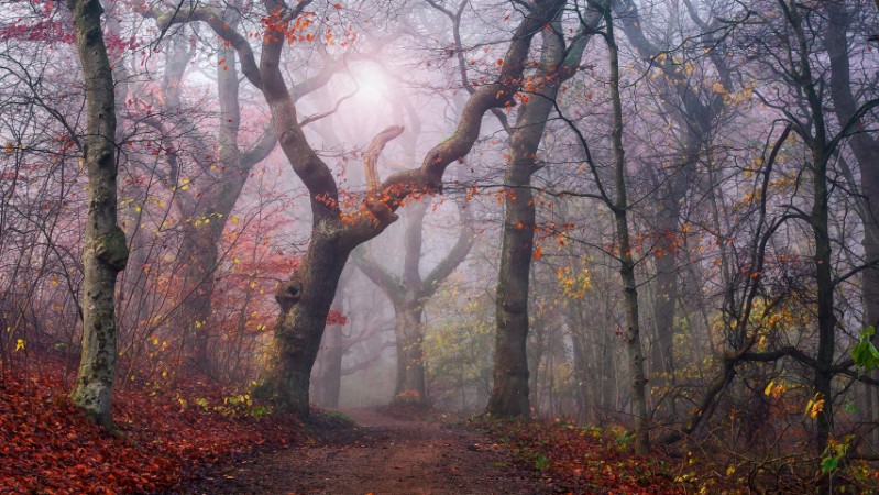 Picture of Walking the old path.