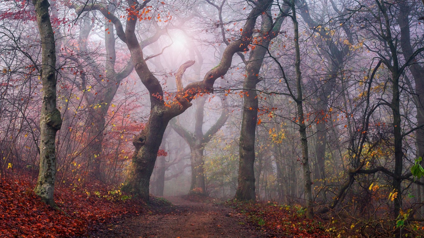 Picture of Walking the old path.