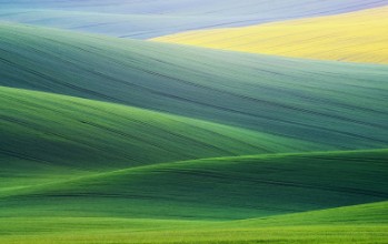 Attēls Lines