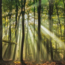 Obrázek Sunny start to the day