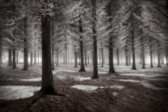Obrazek The onset of winter
