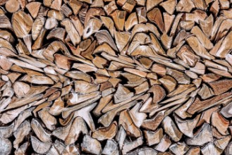 Immagine di Against The Grain